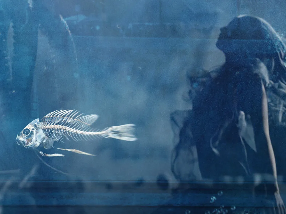 Underwater Love Bond Lenticular by Mark Davies